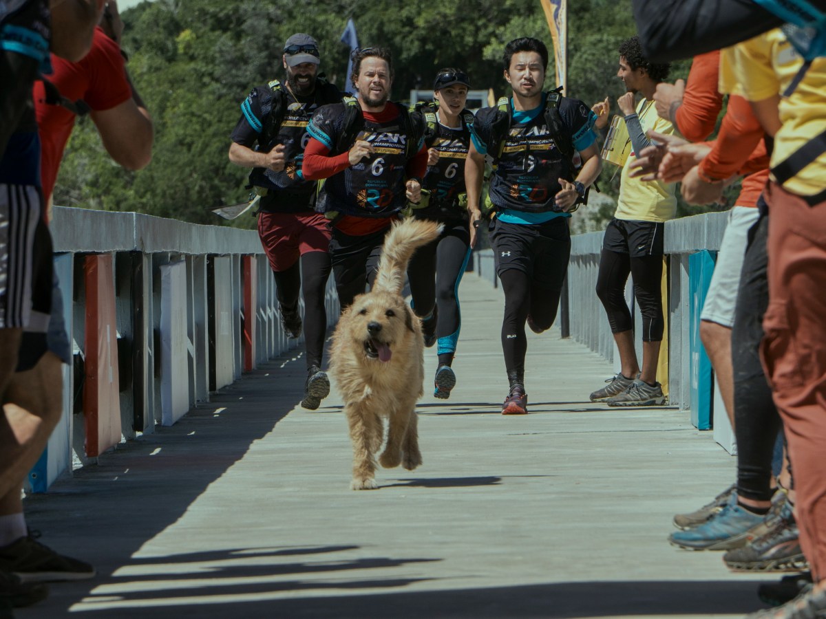 ‘Arthur the King’ is about the dog, and the dog is&nbsp;cute